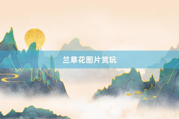 兰草花图片赏玩