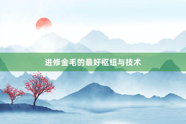 进修金毛的最好枢纽与技术