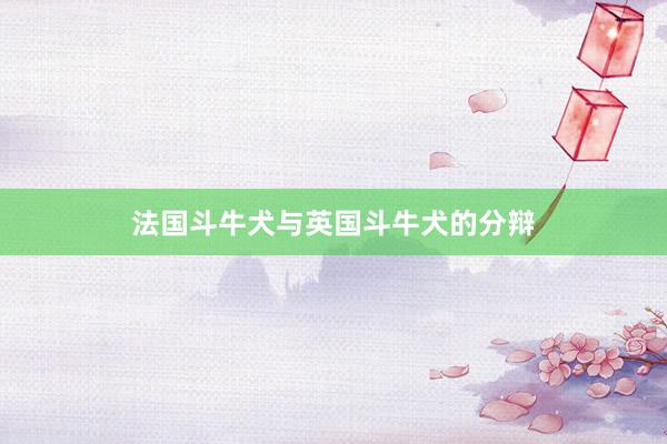 法国斗牛犬与英国斗牛犬的分辩