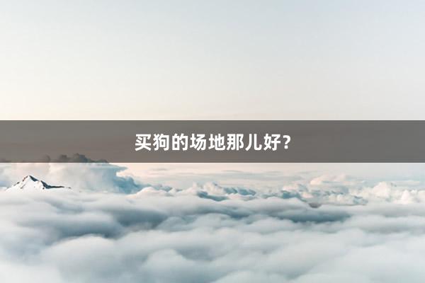 买狗的场地那儿好？
