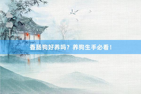 香肠狗好养吗？养狗生手必看！