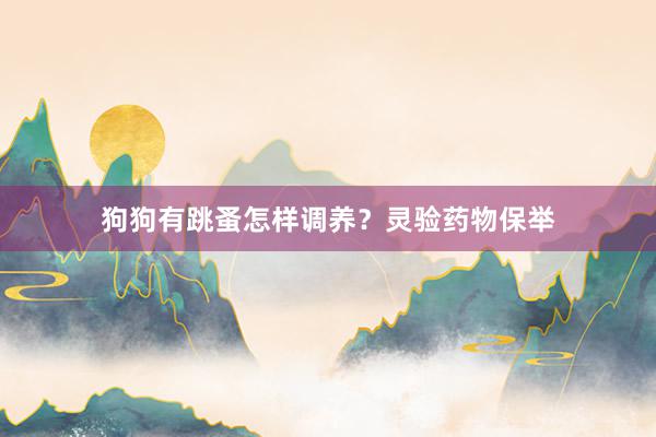 狗狗有跳蚤怎样调养？灵验药物保举